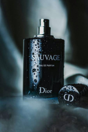 Sauvage Cologne By Christian Dior for Men